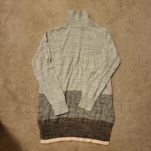 GAP Womens Turtle Neck Sweater